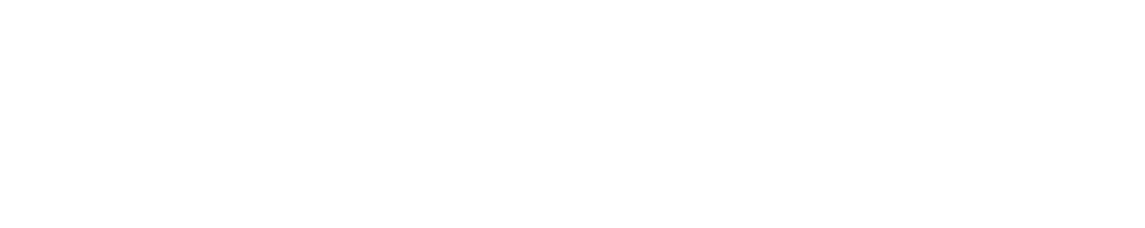 CES — Calibration Engineering Services Ltd · Workshop Solutions